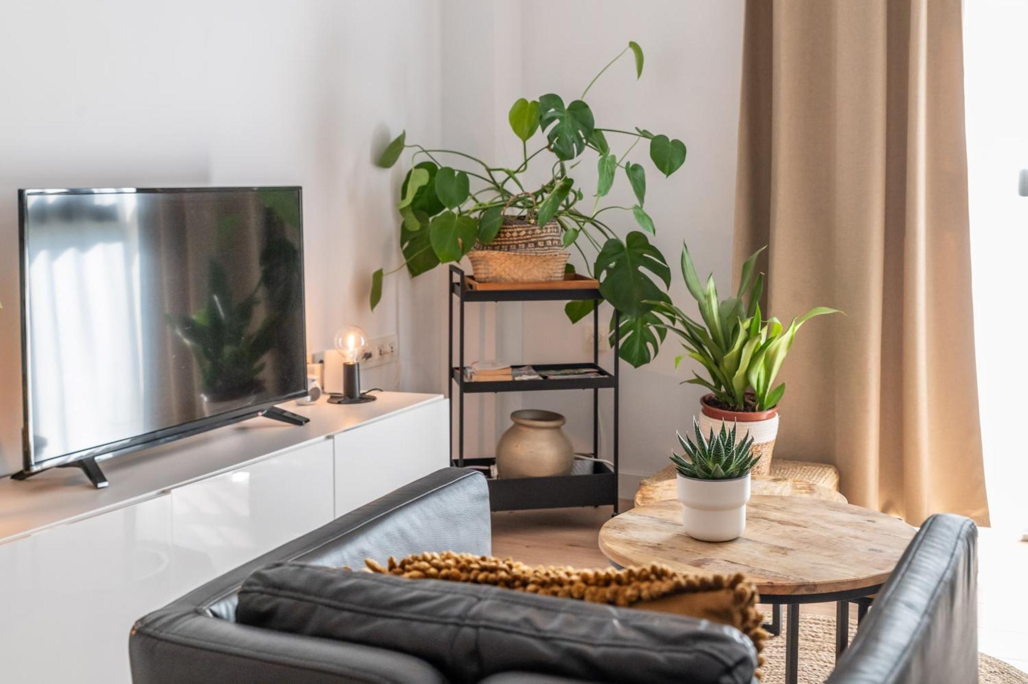 Urban Chic Loft Malaga City Center Екстериор снимка
